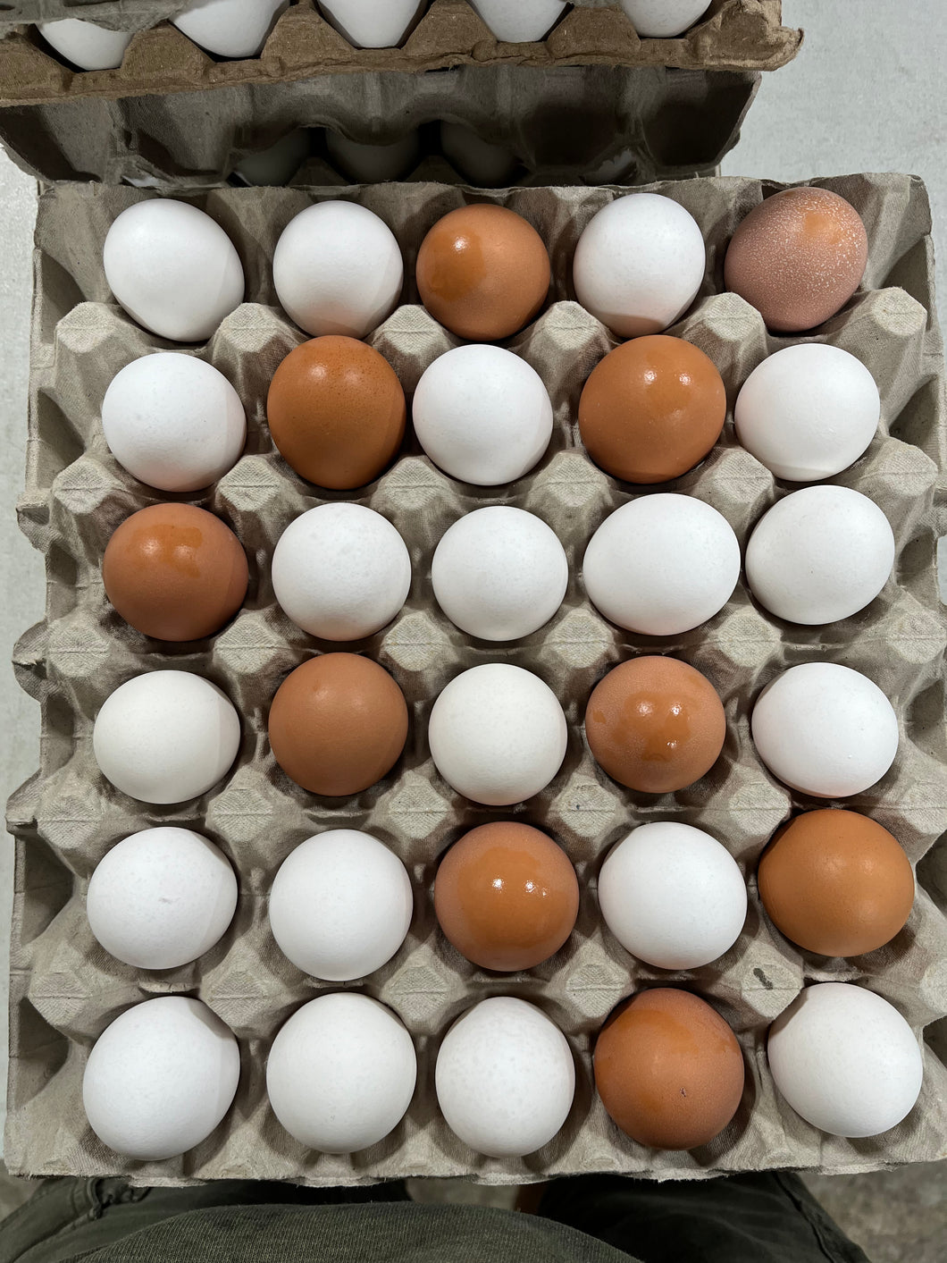 Medium Eggs Flats (white & Brown) (30 eggs)