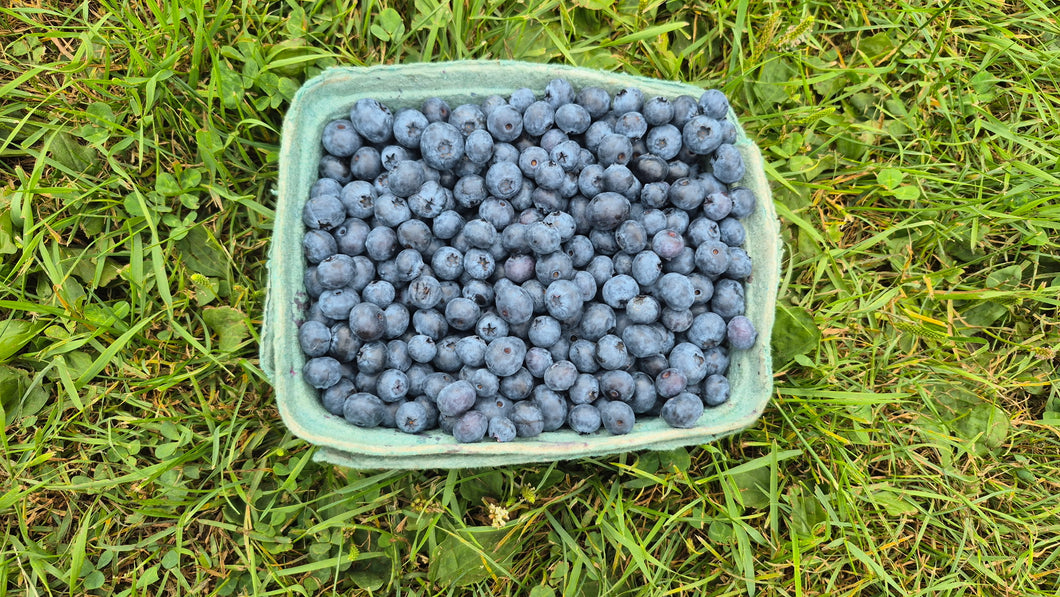 Blueberries! (No spray) 2lb