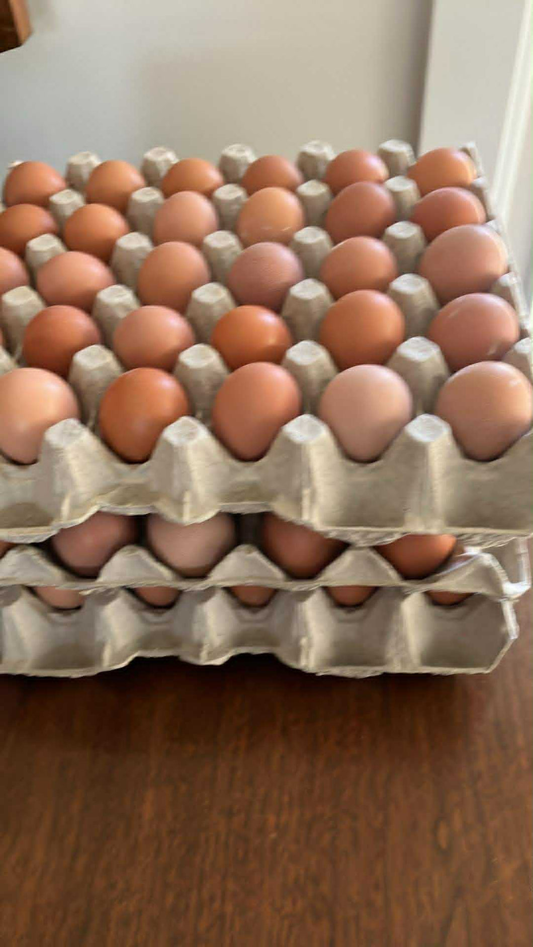 Small Brown Free Run (30eggs)